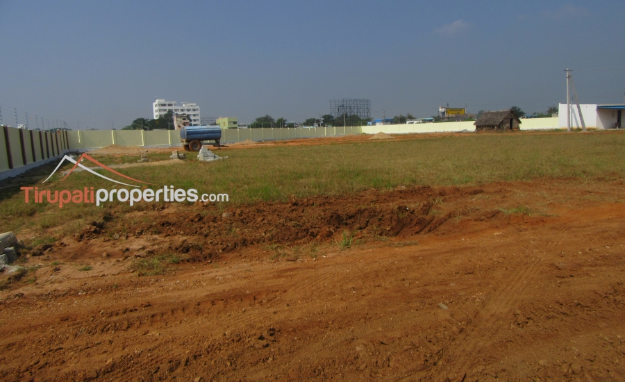 Plots for Sale Near Chadalawada College Renigunta Road, Tirupati